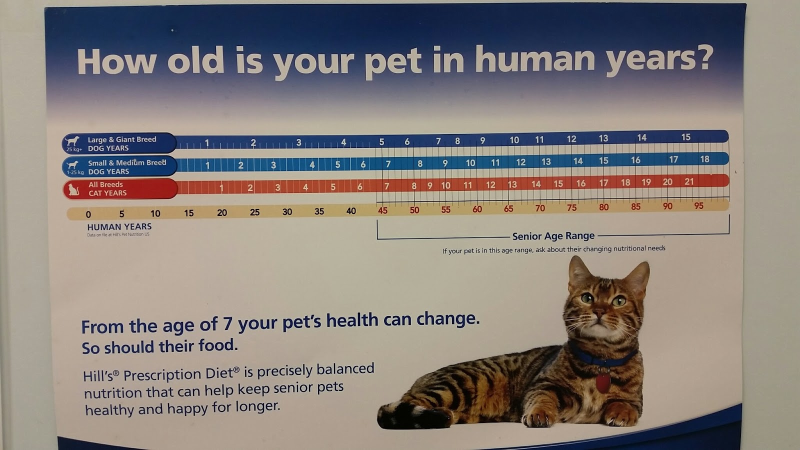 Silver Star Animal Hospital - CA , Canada