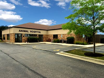 Dundee Animal Hospital Of Algonquin - Algonquin , United States