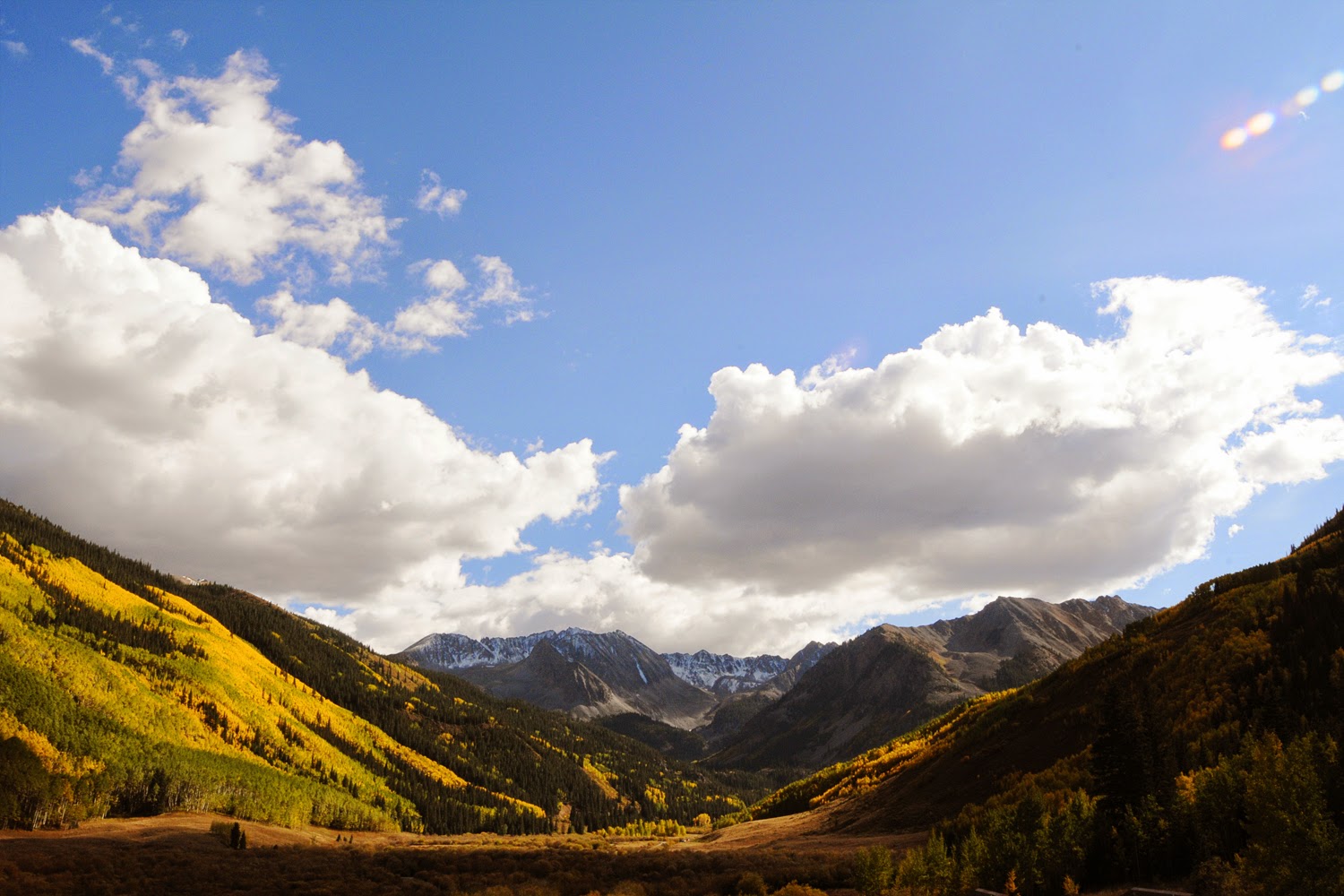 Animal Allergy And Dermatology Of Colorado - Colorado Springs , United States