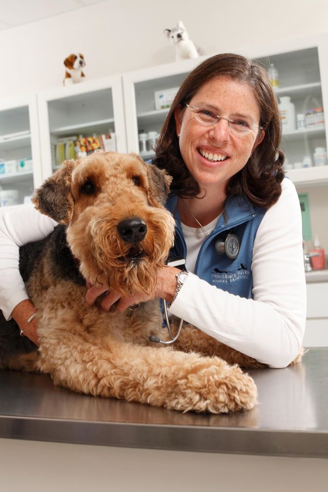 Providence River Animal Hospital - Providence , United States