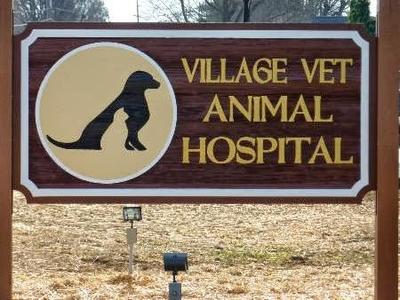 Village Vet Animal Hospital, 8415 North Carolina 150, Clemmons, Reviews ...