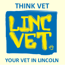 Lincvet - Lincoln , United Kingdom