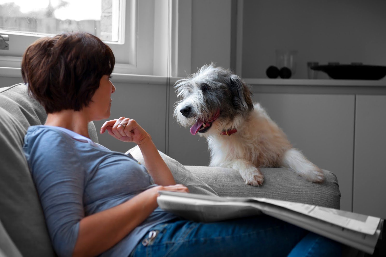 Vca Canada Barrie Veterinary Hospital - Barrie , Canada
