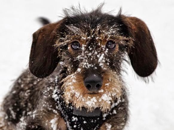 Newberry Animal Hospital - Newberry , United States