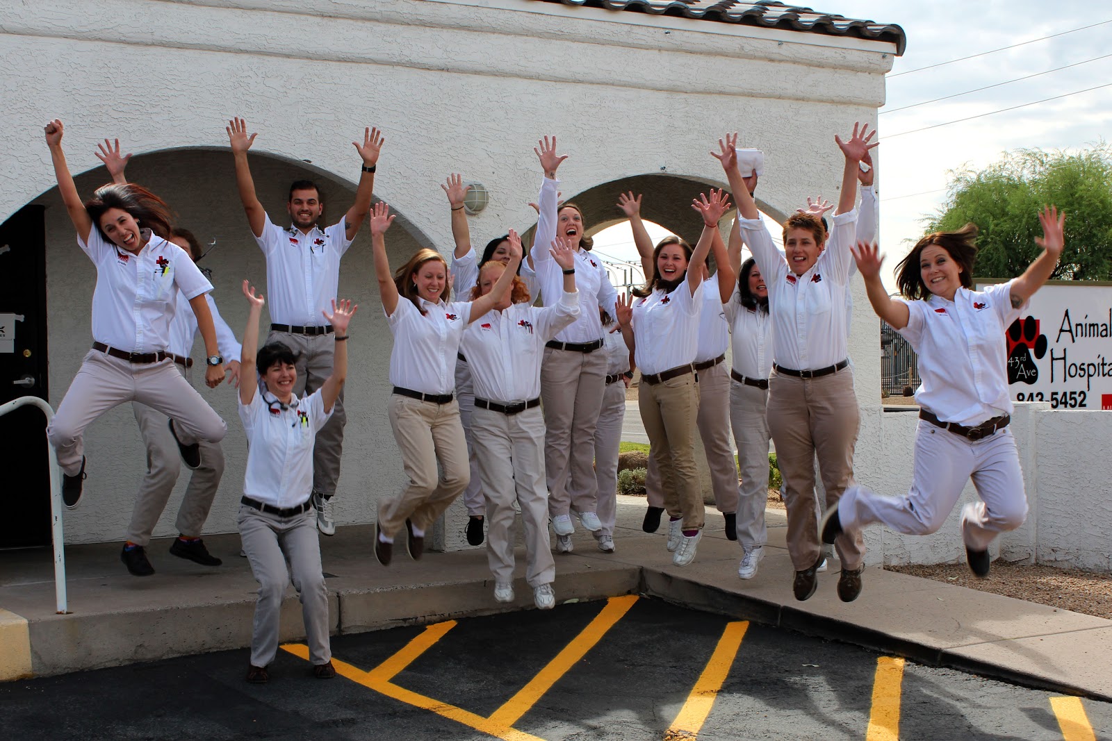 43Rd Avenue Animal Hospital - Glendale , United States