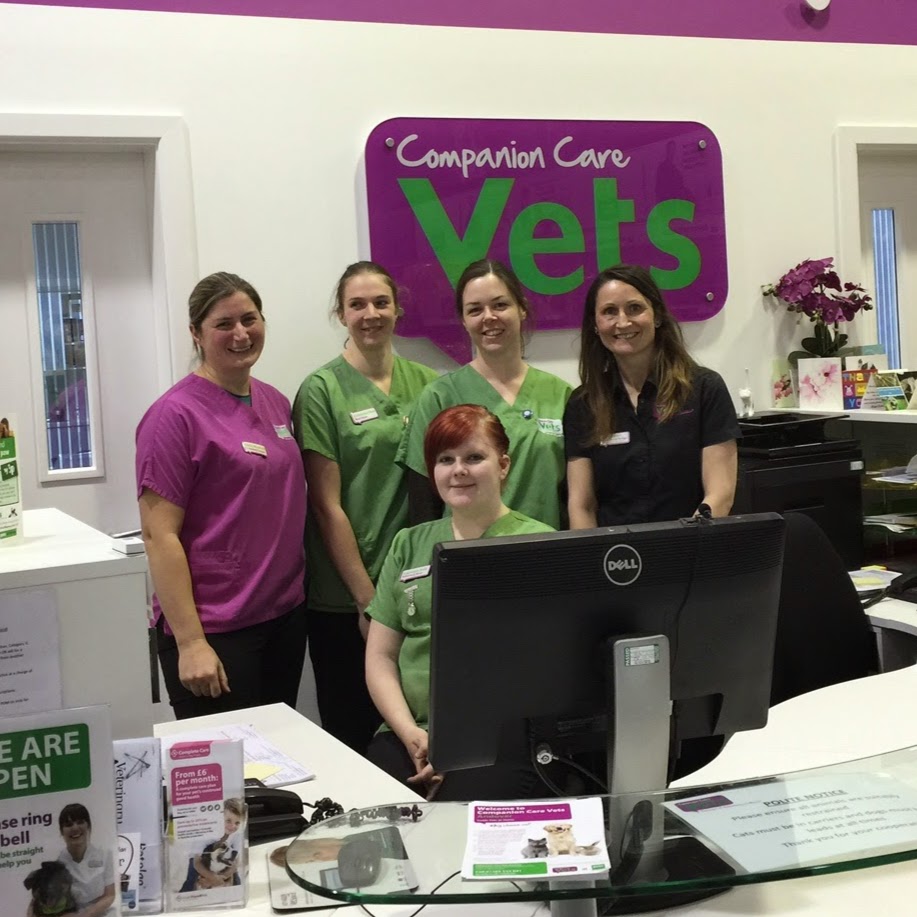 Vets For Pets Andover - Andover , United Kingdom