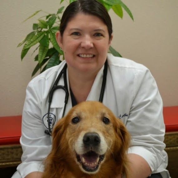 Mission Hills Pet Care Center - Mission Viejo , United States