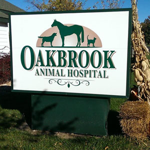 Oakbrook Animal Hospital - Gardner , United States