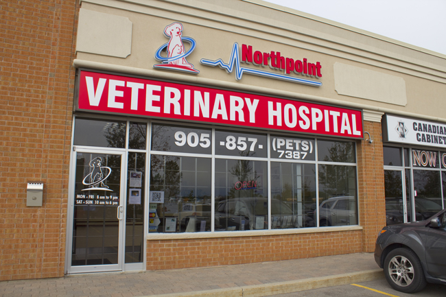 Northpoint Veterinary Hospital - Bolton , Canada