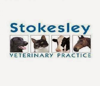 Stokesley Veterinary Practice - Middlesbrough , United Kingdom