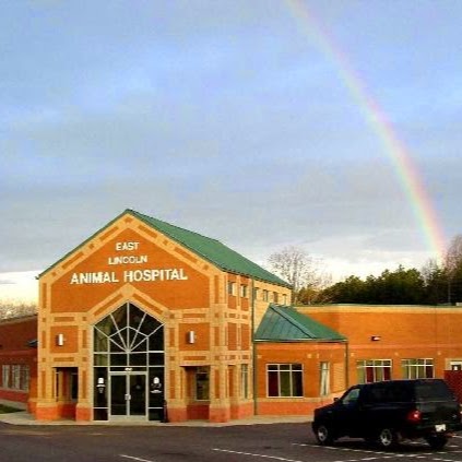 East Lincoln Animal Hospital - Denver , United States