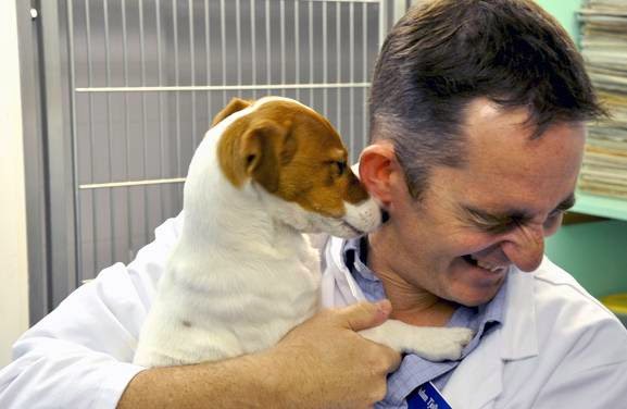 Inglis Veterinary Hospital - Dunfermline , United Kingdom
