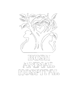 Bush Animal Hospital - Eugene , United States