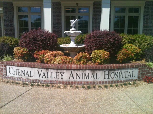 Chenal Valley Animal Hospital - Little Rock , United States