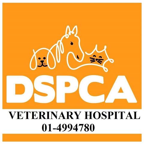 Village Vets Rathfarnham Dspca - Dublin 16 , Ireland