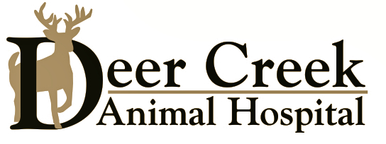 Deer Creek Animal Hospital - Butler , United States