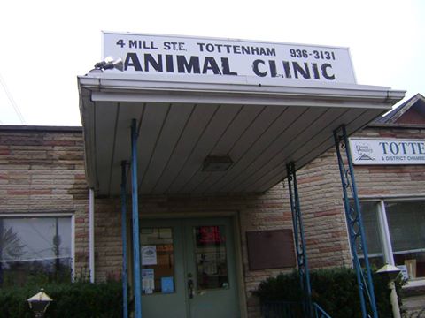 Tottenham Animal Clinic - Tottenham , Canada