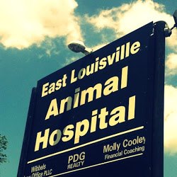 East Louisville Animal Hospital - Louisville , United States
