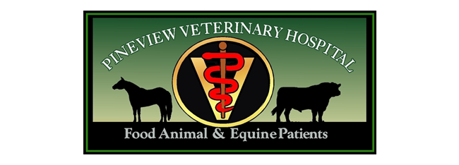 Pineview Veterinary Hospital - Bolton , United States