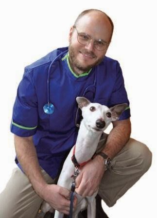 Companion Care Hemel Hempstead - Hemel Hempstead , United Kingdom