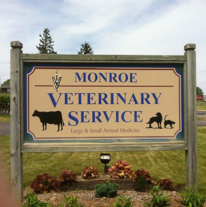 Brodhead Veterinary Medical Center - Monroe , United States