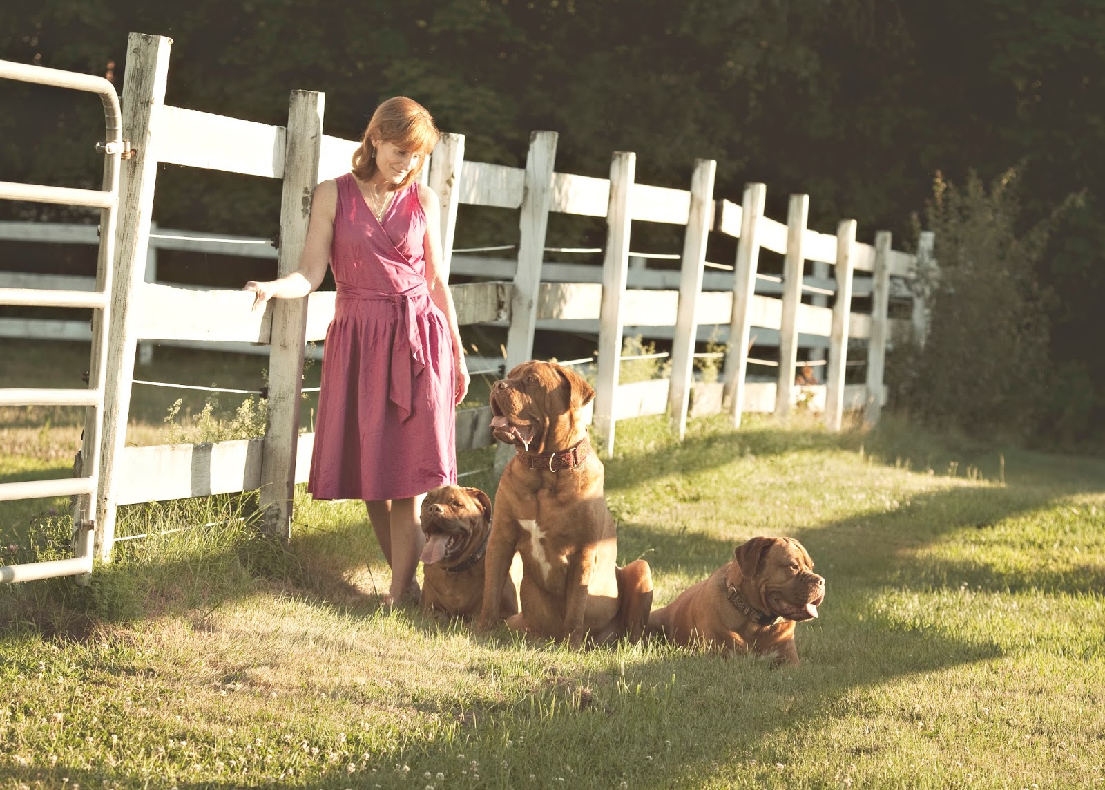 South Shore Animal Services - Hanover , United States