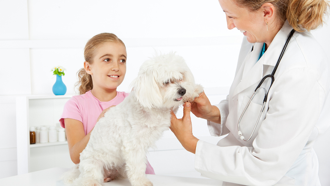 Woodburn Pet Hospital - Woodburn , United States