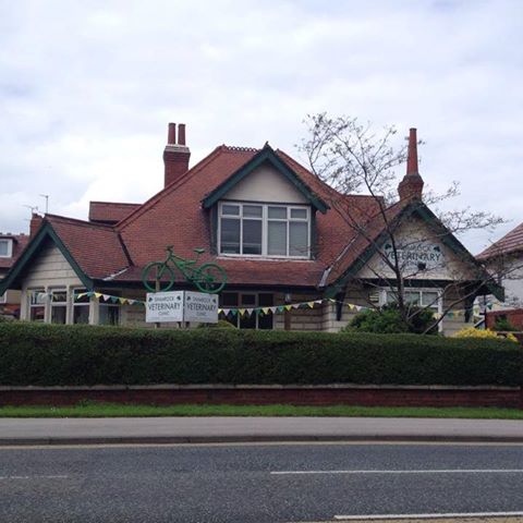 Medivet Harrogate Knaresborough Rd Shamrock Veterinary Clinic - Harrogate , United Kingdom
