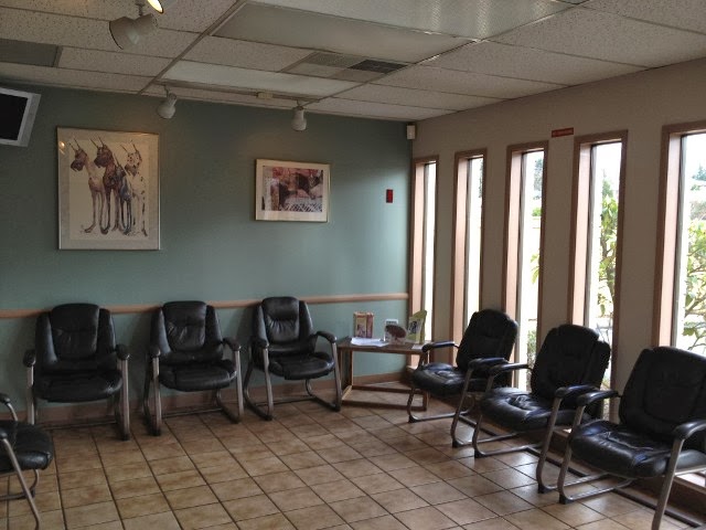 Evergreen Veterinary Hospital - Kirkland , United States