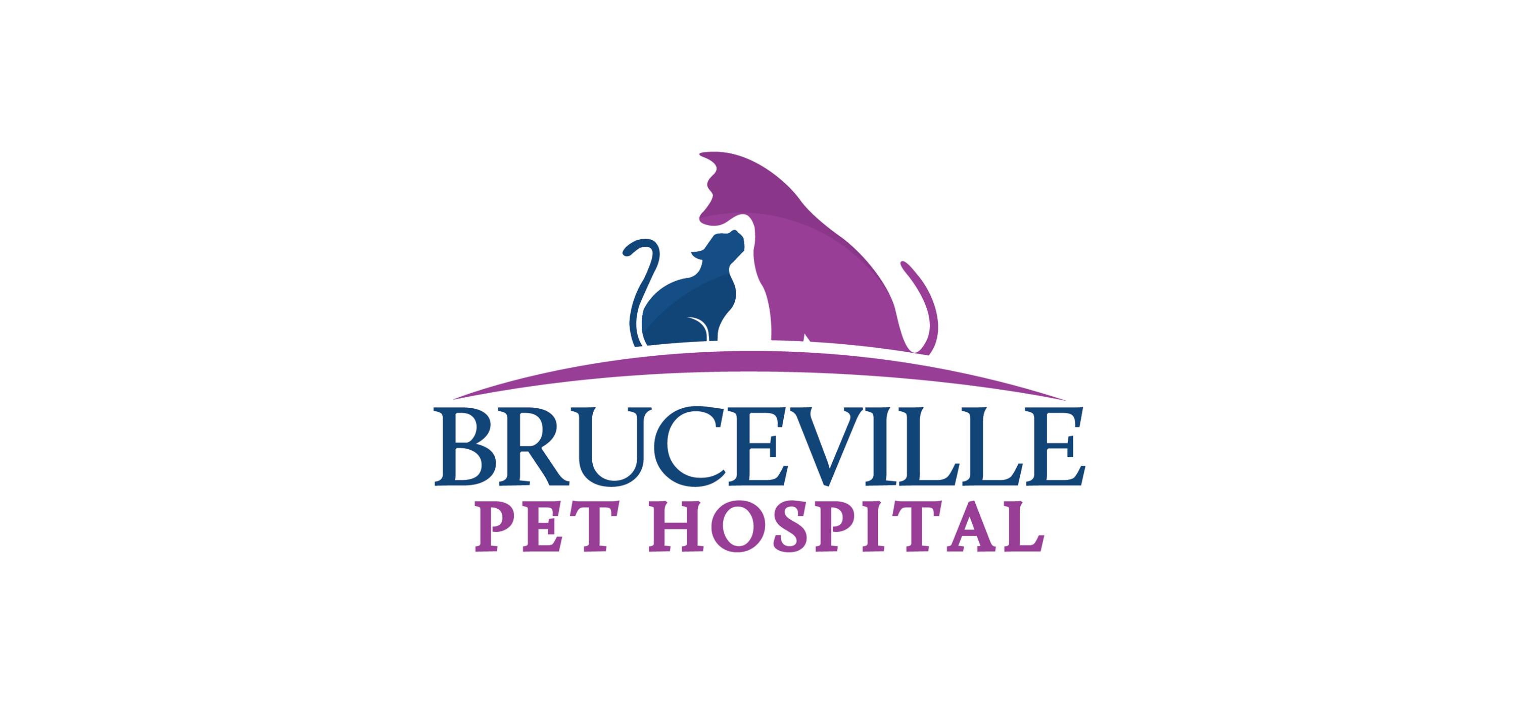 Bruceville Pet Hospital - Elk Grove , United States