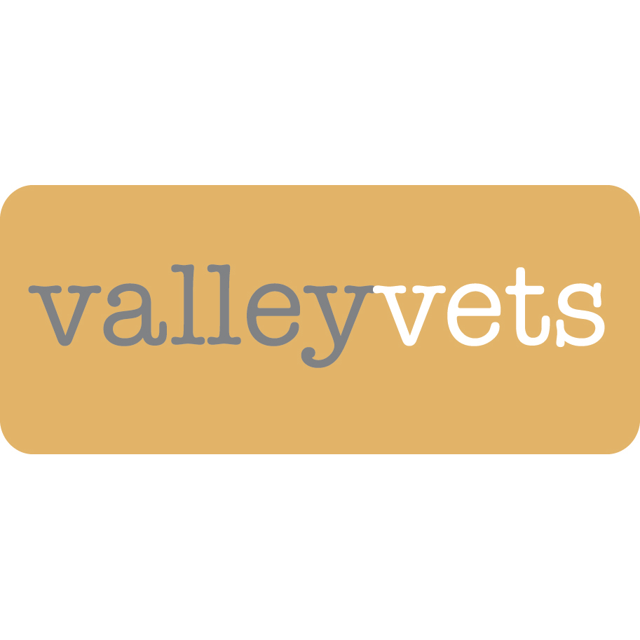 Valley Vets - Hengoed , United Kingdom