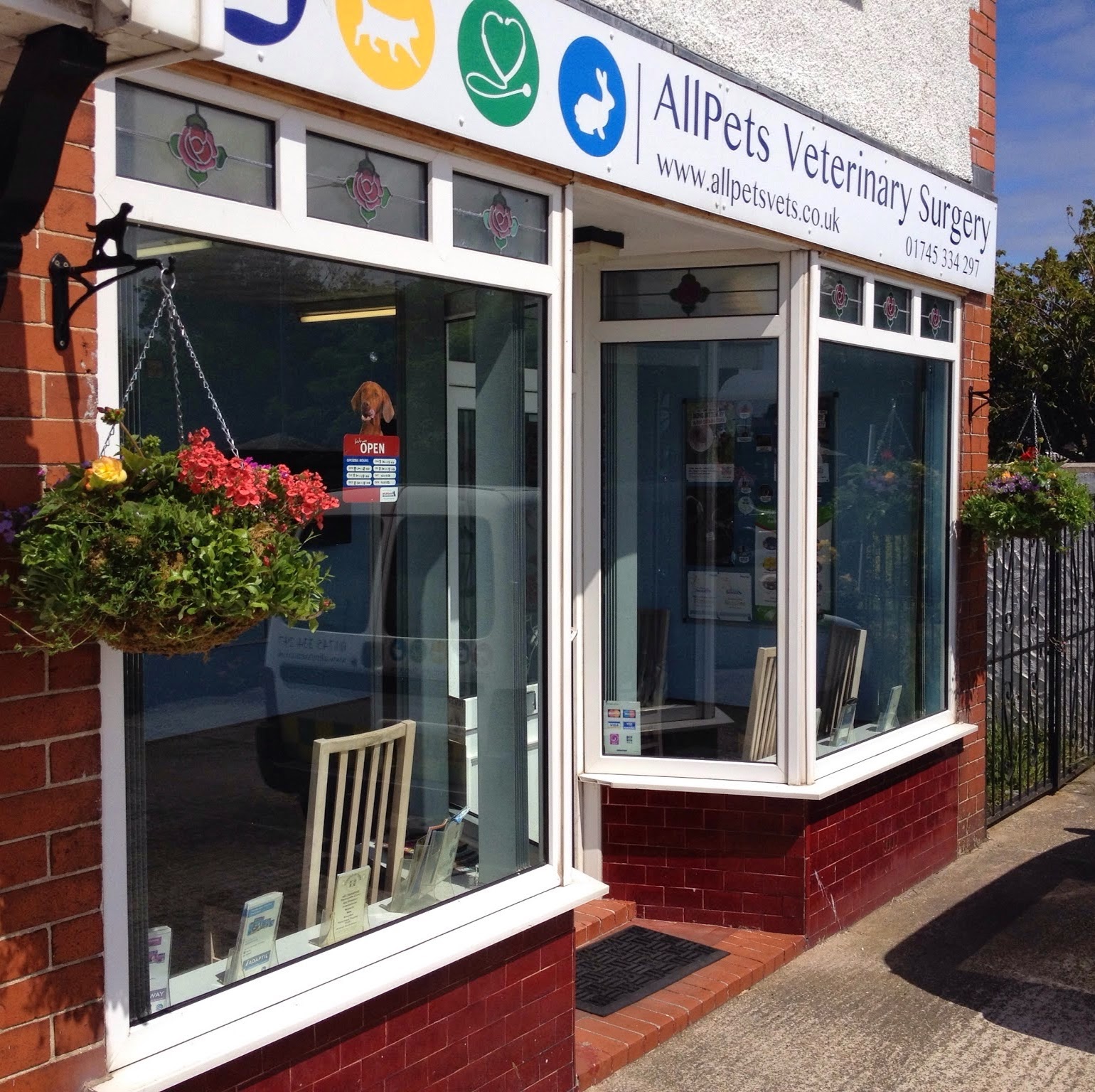 Allpets Veterinary Surgery - Rhyl , United Kingdom