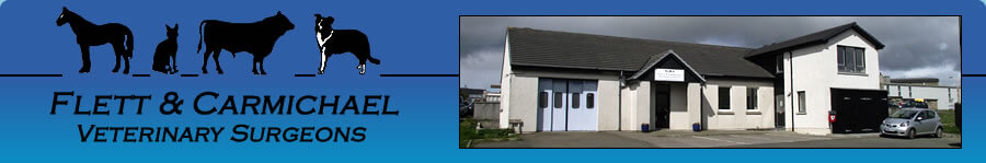 Flett And Carmichael - Kirkwall , United Kingdom