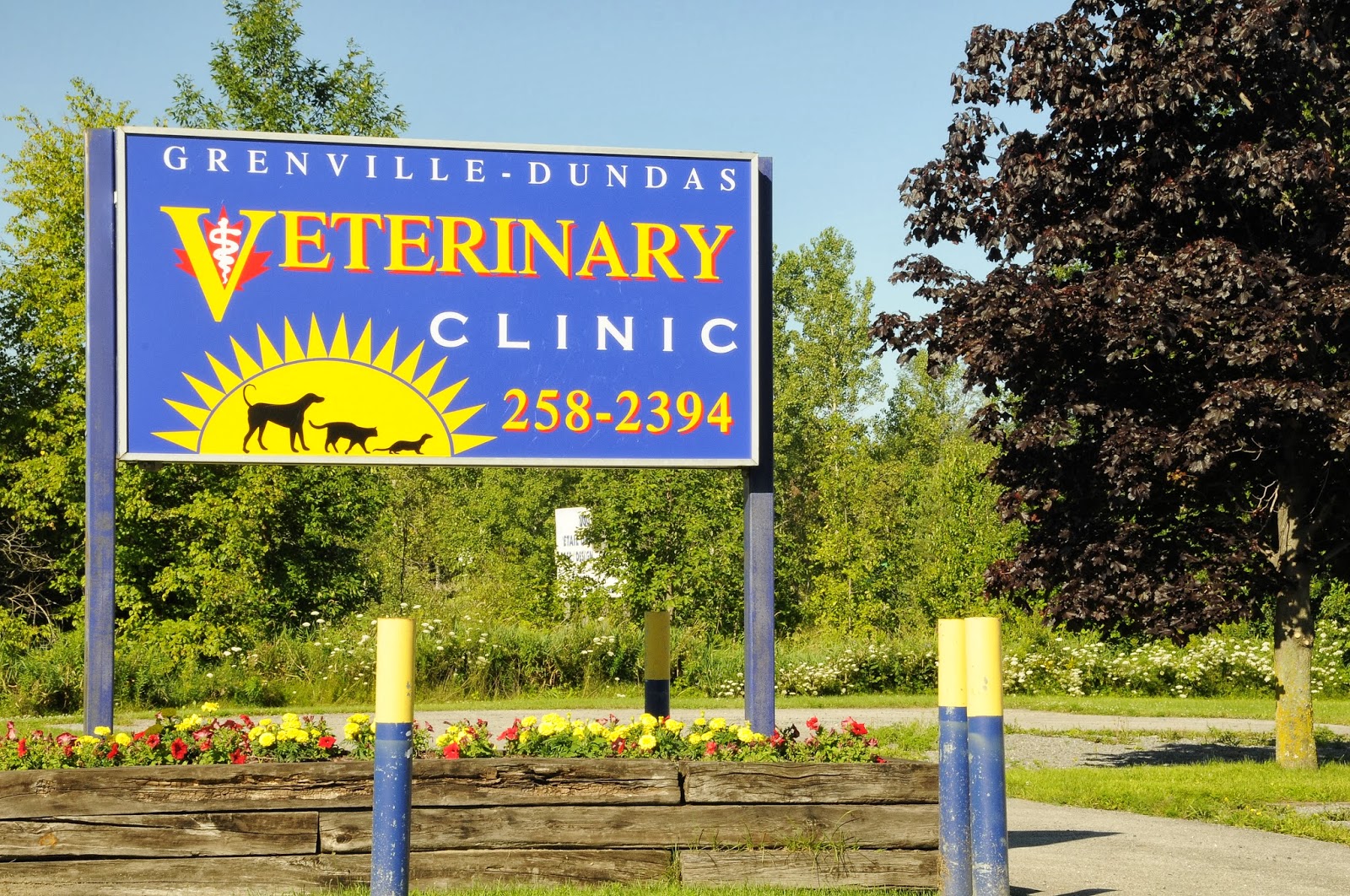 Grenville Dundas Veterinary Clinic - Kemptville , Canada