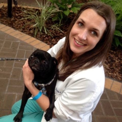 South Seminole Animal Hospital - Fern Park , United States