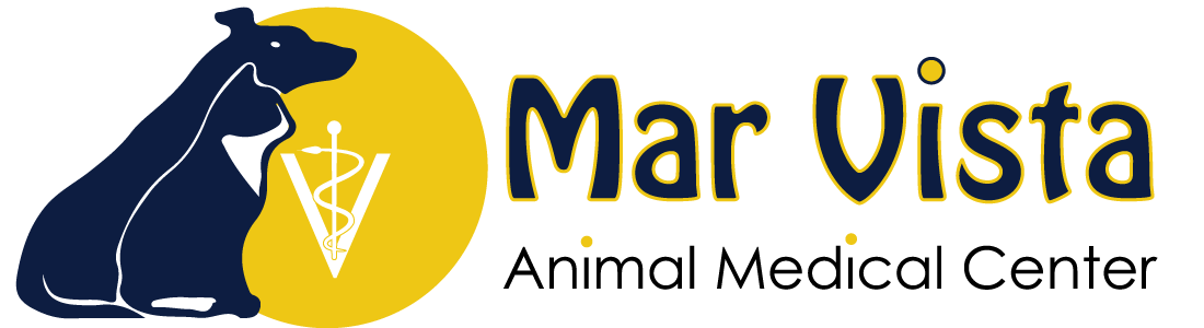 Mar Vista Animal Medical Center - Los Angeles , United States