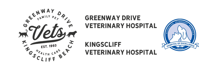 Kingscliff Veterinary Hospital - Chinderah , Australia