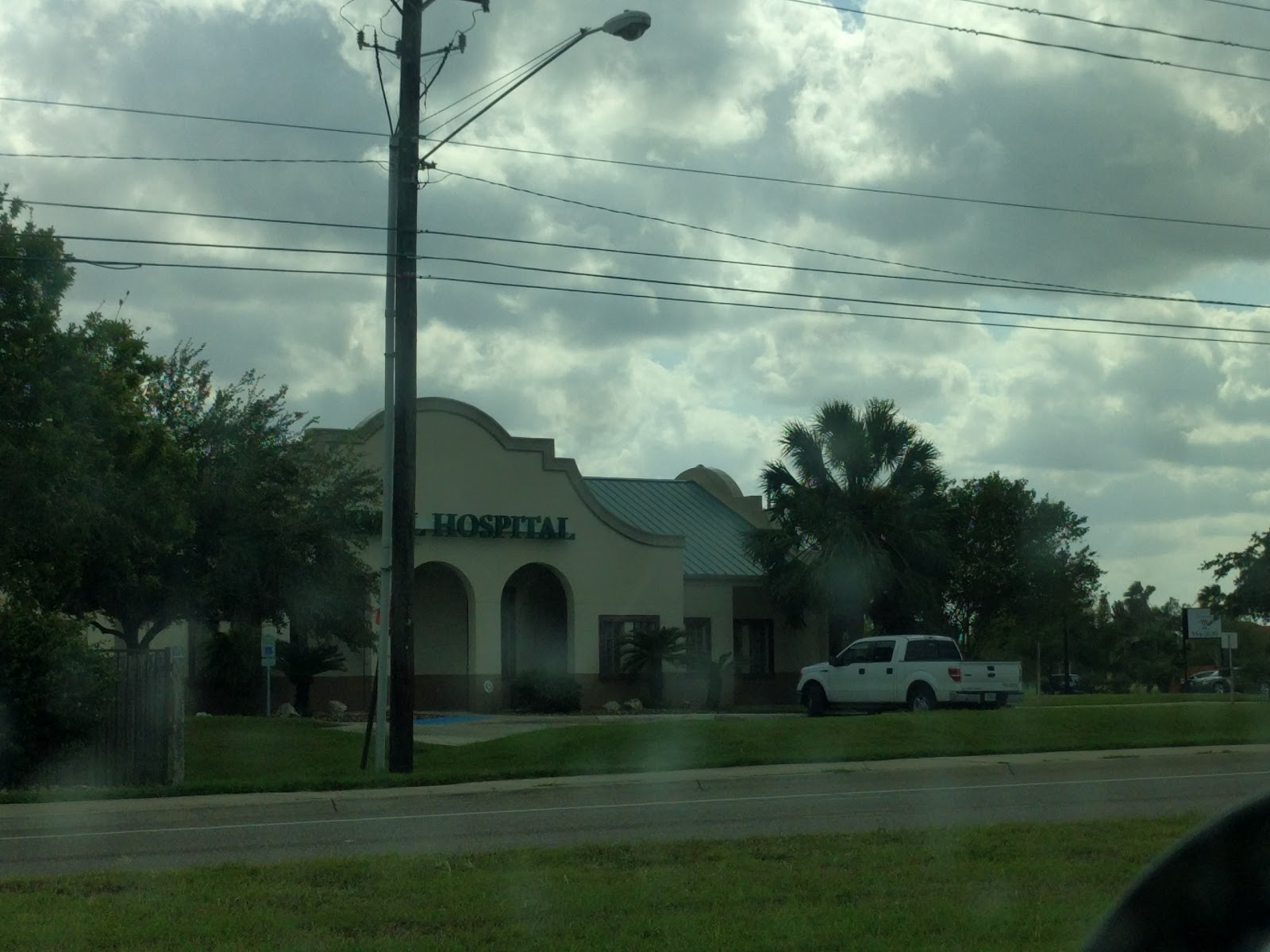 Companion Animal Hospital - Brownsville , United States