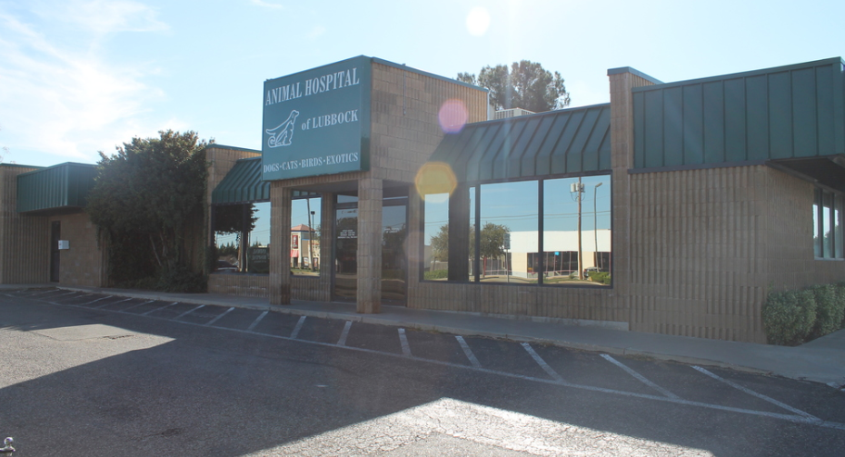 Animal Hospital Of Lubbock - Lubbock , United States