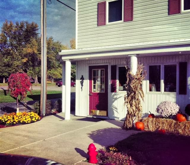 Dewitt Veterinary Hospitals P C - DeWitt , United States