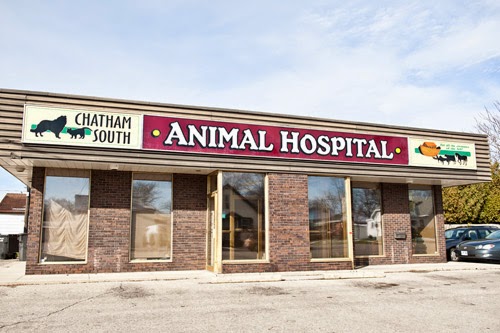 Chatham South Animal Hospital - Chatham , Canada