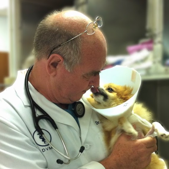 Kahala Pet Hospital - Honolulu , United States