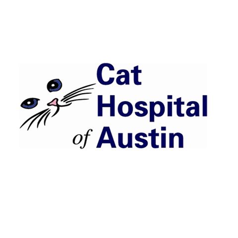 Cat Hospital Of Austin - Austin , United States