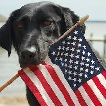 South Church Animal Hospital - Murfreesboro , United States