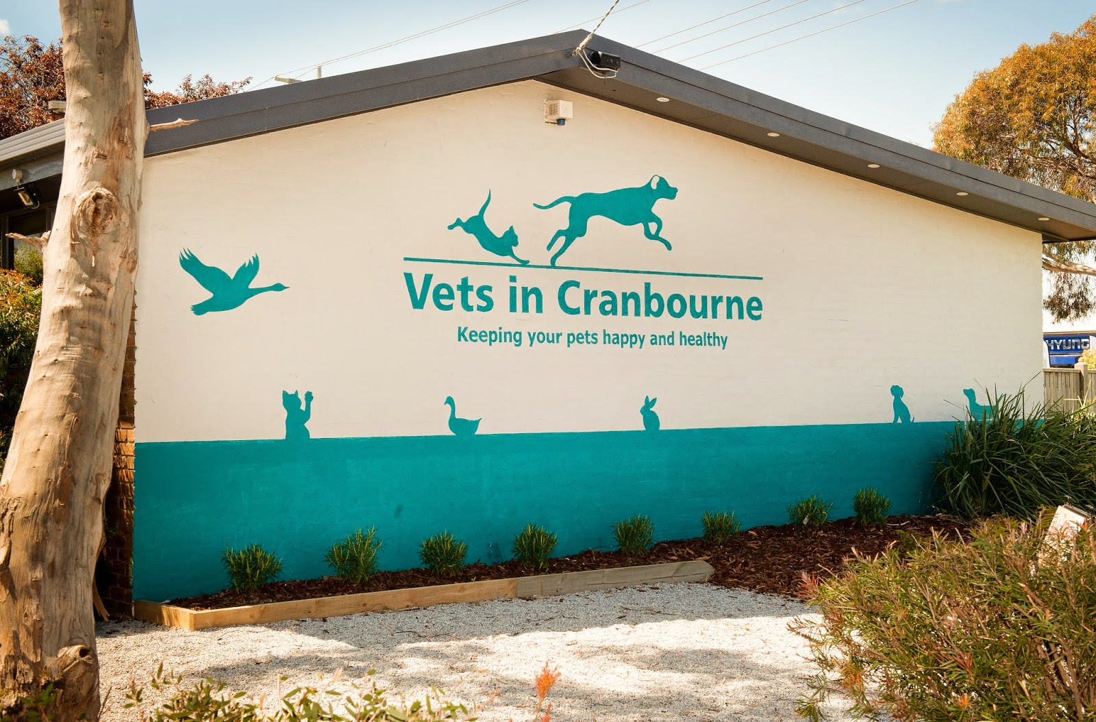 Vets In Cranbourne - Cranbourne , Australia
