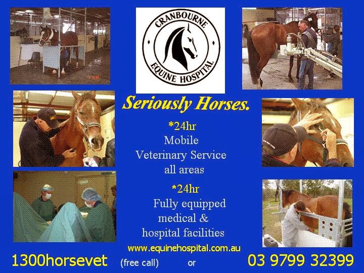 1300Horsevet - Clyde , Australia