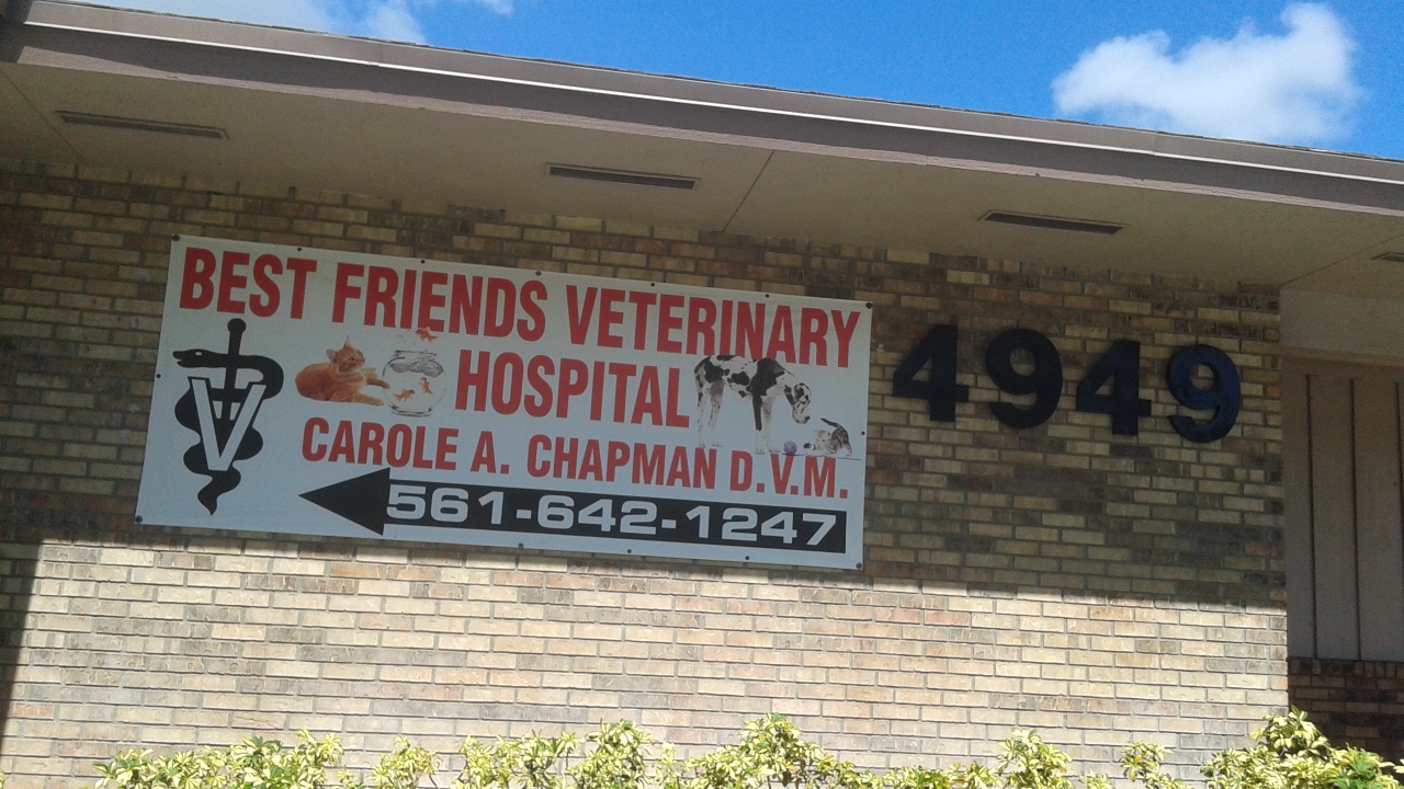 Best Friends Veterinary Clinic - Palm Springs , United States