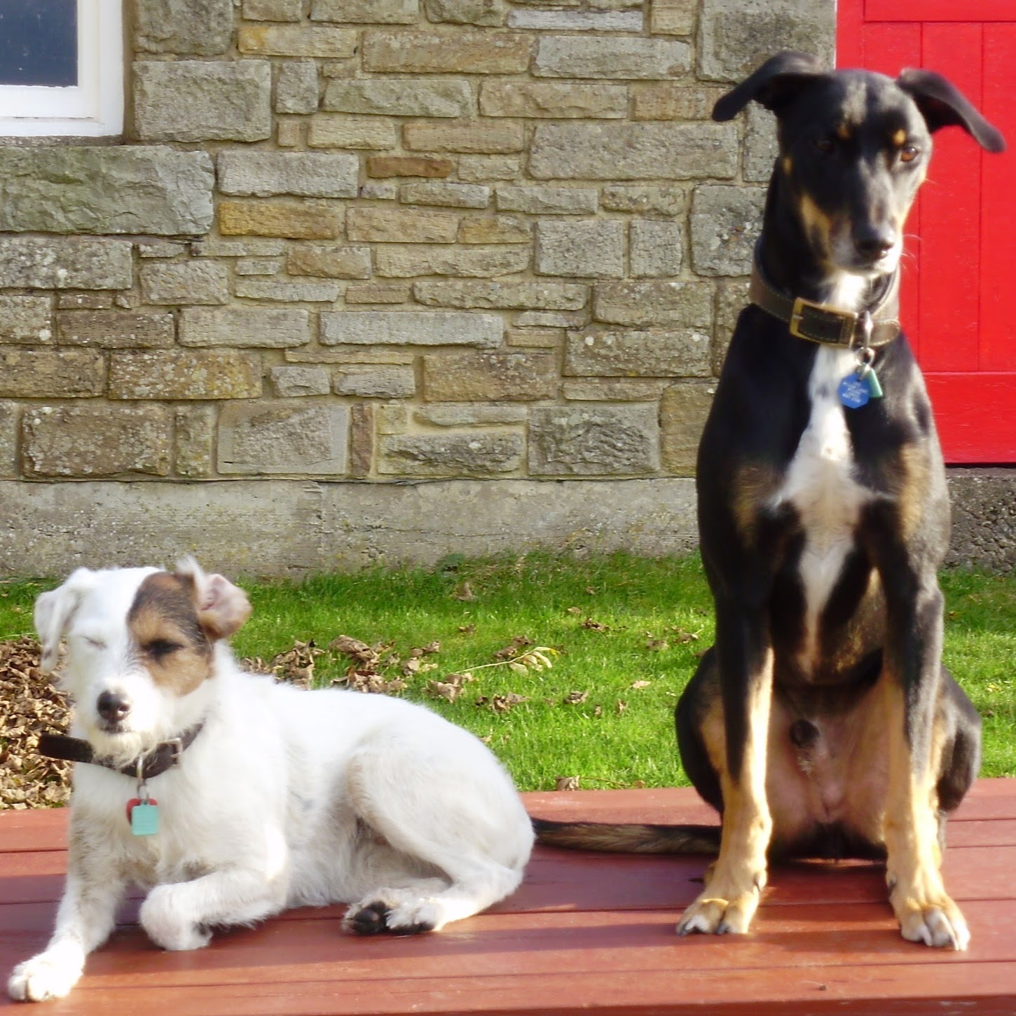 The Lane Family Pet Centre - Wigan , United Kingdom