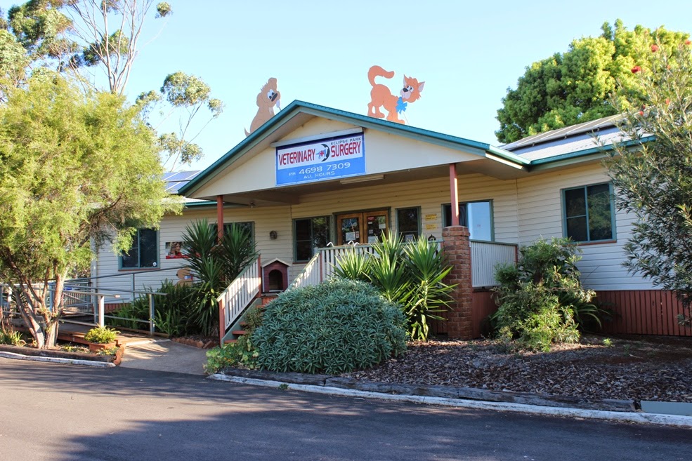 Eclipse Park Veterinary Surgery - Highfields , Australia