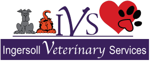 Ingersoll Veterinary Services - Ingersoll , Canada